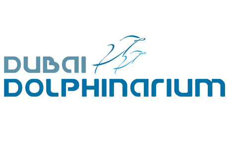 Dolphin and Seal Show - Regular Adult