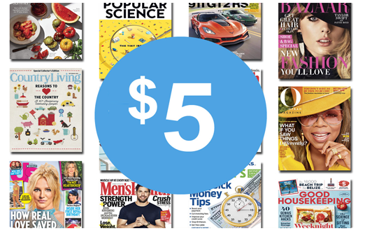 Blue Dolphin Magazines